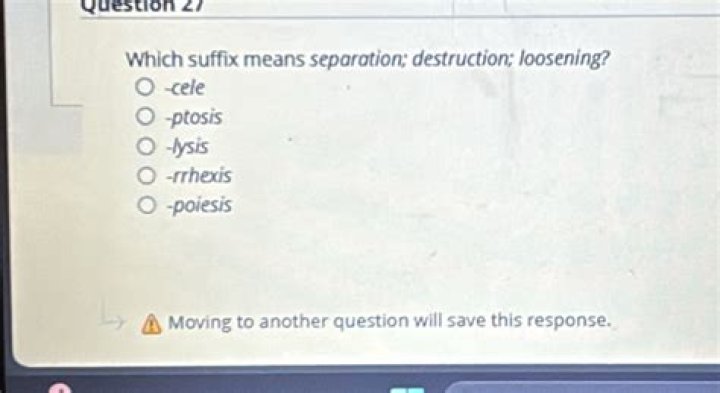 Which suffix means separation destruction loosening?
