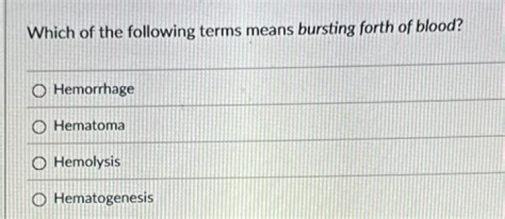 Which term means bursting forth of blood?