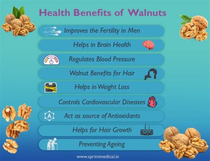 Which walnut is big?