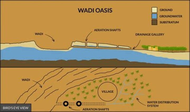 Who are wadis formed?