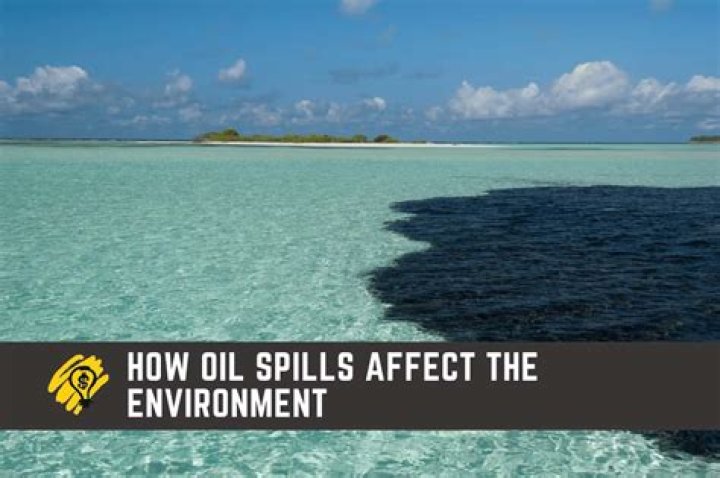 Who do oil spills affect fish?