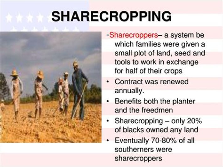Who farmed the land in the sharecropping system?