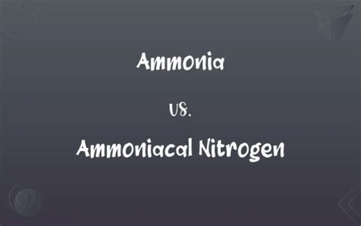 Who invented ammoniacal nitrogen?