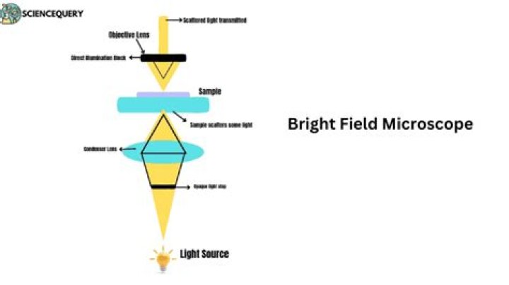 Who invented bright field microscope?