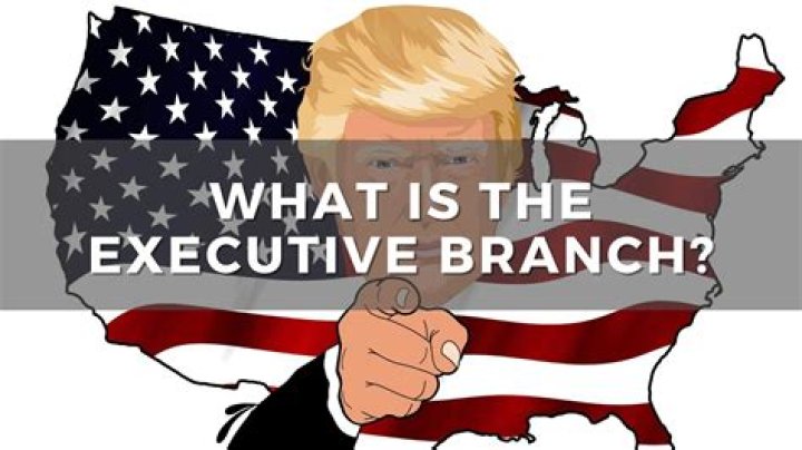 Who is incharge of the executive branch?