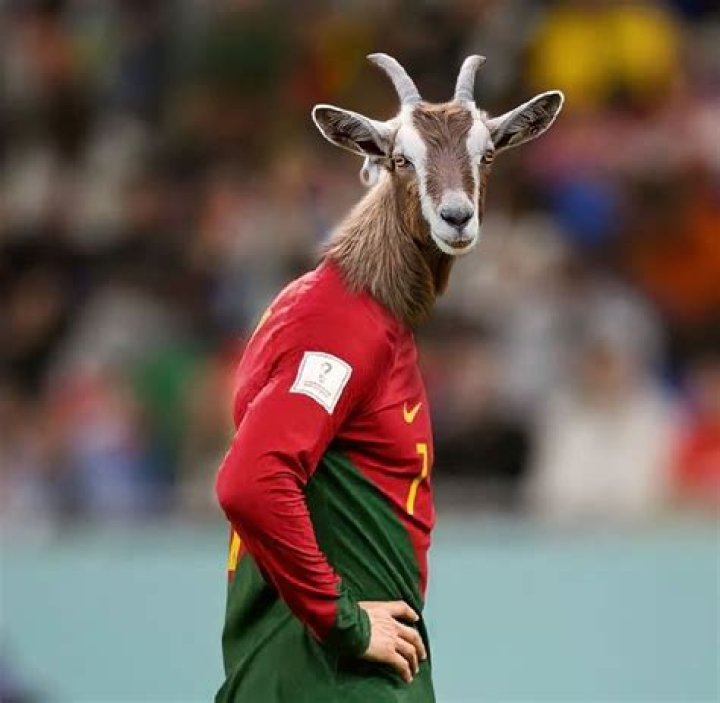 Who is the goat of all time?