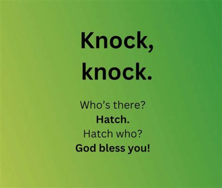 Who is the knick based on?