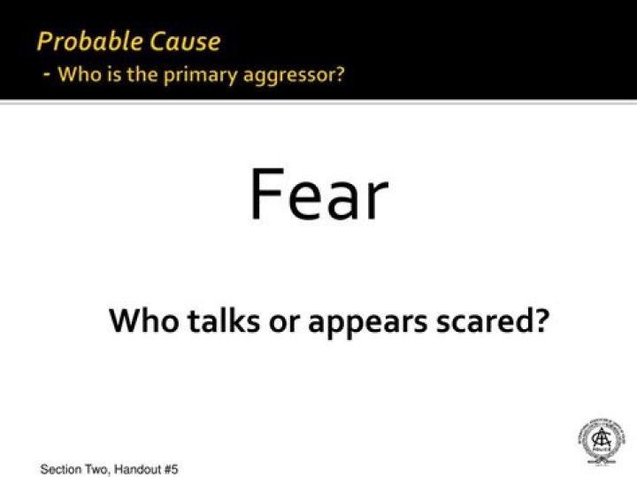 Who is the primary aggressor?