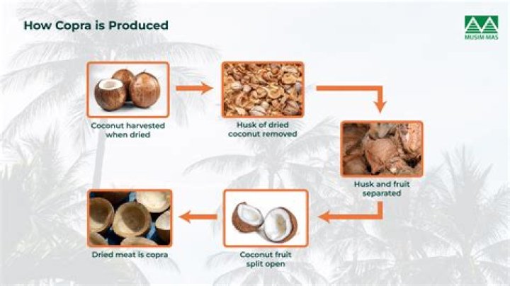 Who is using copra?