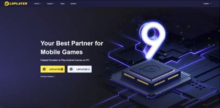 Who makes ld player?