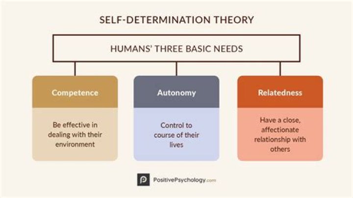 Who proposed self determination theory?