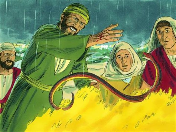 Who was bitten by a snake in the bible?