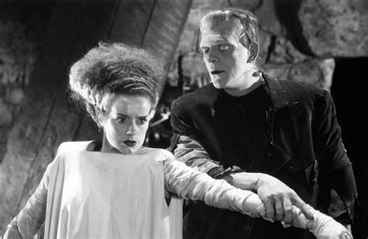 Who was frankenstein's closest friend?