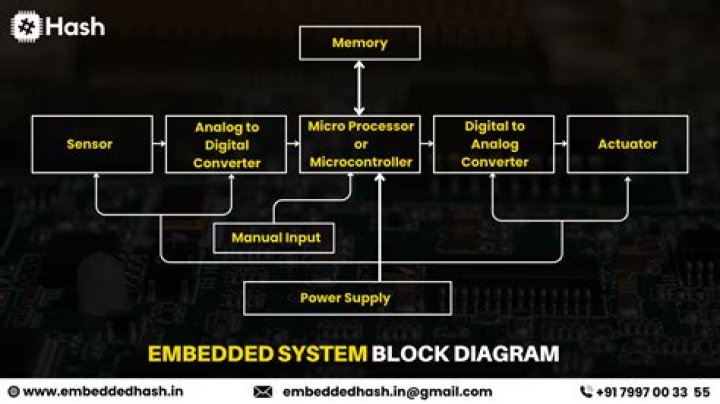 Who/what is the Embedded?