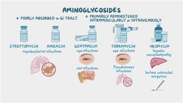 Why aminoglycosides cause ototoxicity?