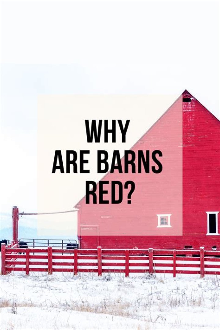 Why are barns usually red?