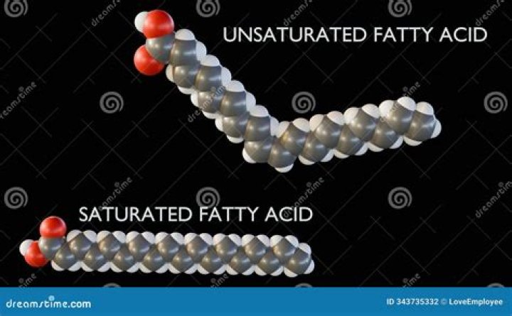 Why are fatty acids unsaturated?