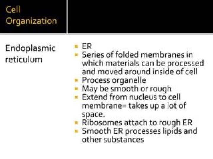 Why are folded membranes an advantage to a cell?