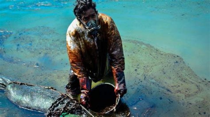Why are oil spills dangerous?