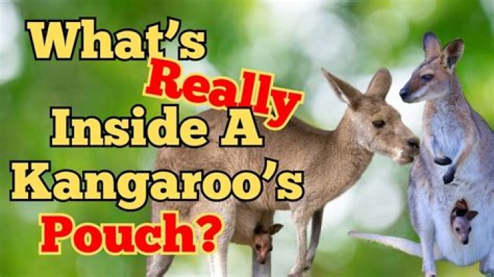 Why can I shake all the bushes and trees?