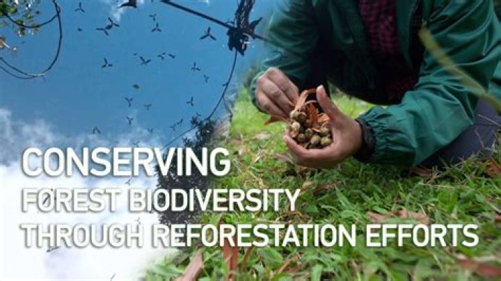 Why deciduous forests are commercially most exploited?