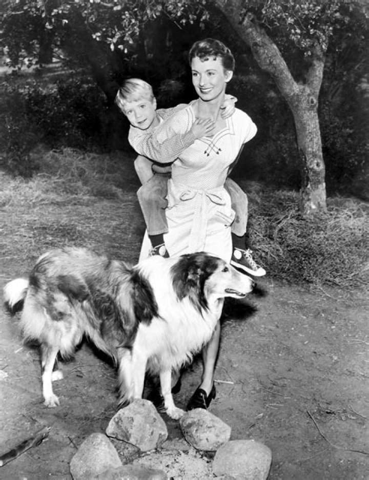 Why did cloris leachman leave lassie?