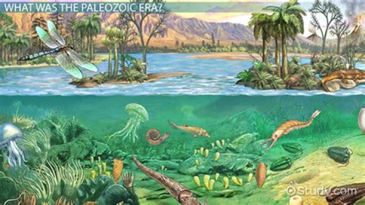Why did the proterozoic eon end?