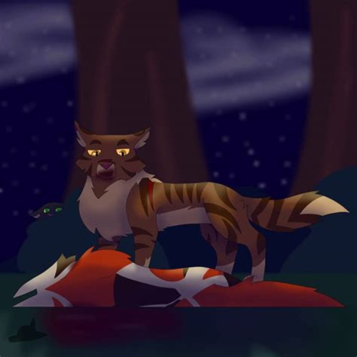 Why did tigerclaw kill redtail?