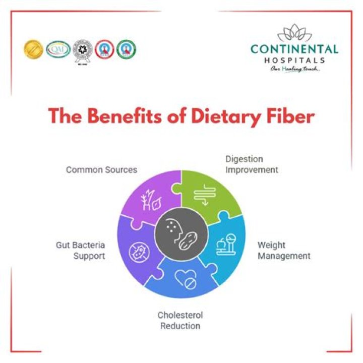 Why dietary fiber is important for digestive system?