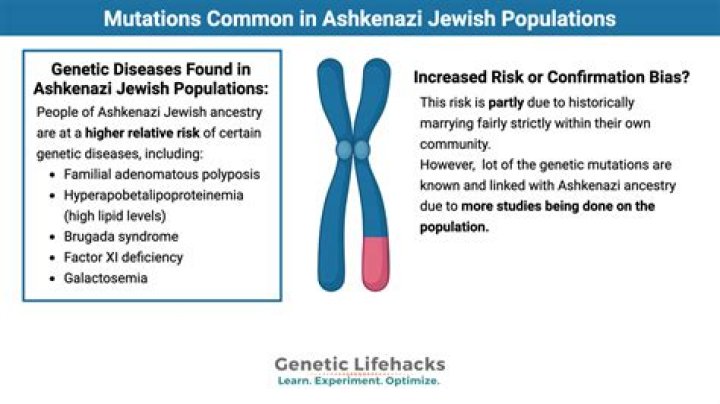 Why do ashkenazi have genetic diseases?