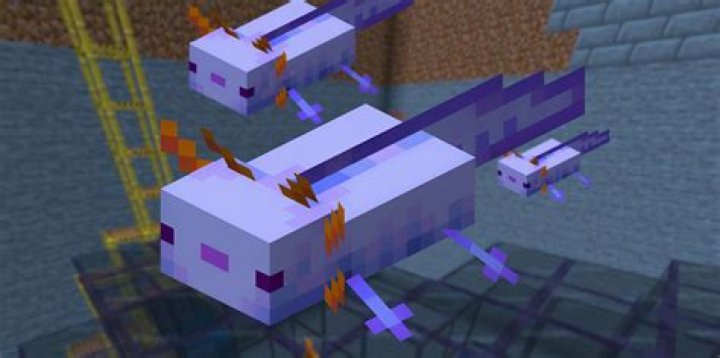 Why do mobs keep despawning even when named?