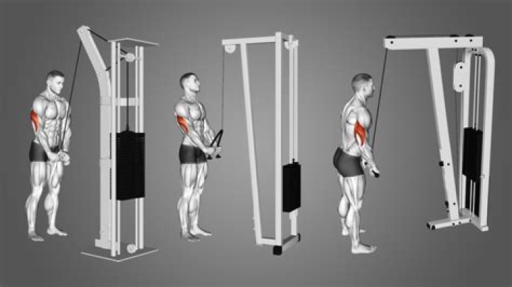 Why do tricep pulldowns?