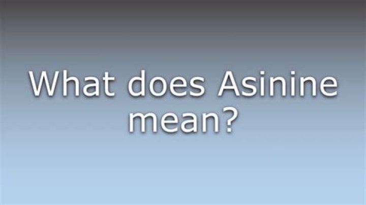 Why does asinine mean?