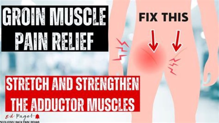 Why does my pectineus hurt?