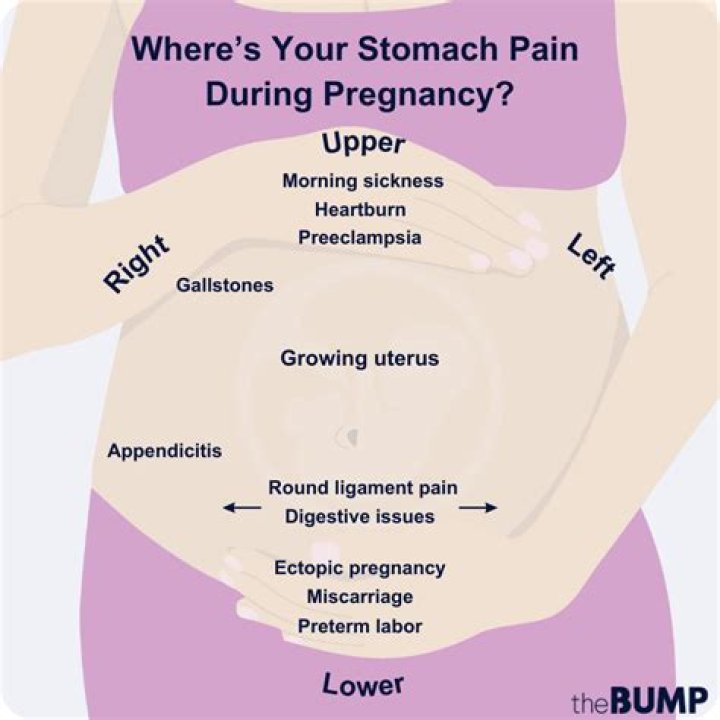 Why does stomach harden during pregnancy?
