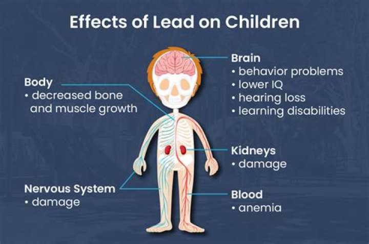 Why is lead poisoning dangerous?