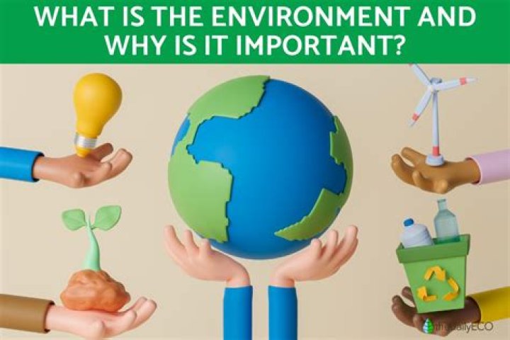 Why is oolite important?