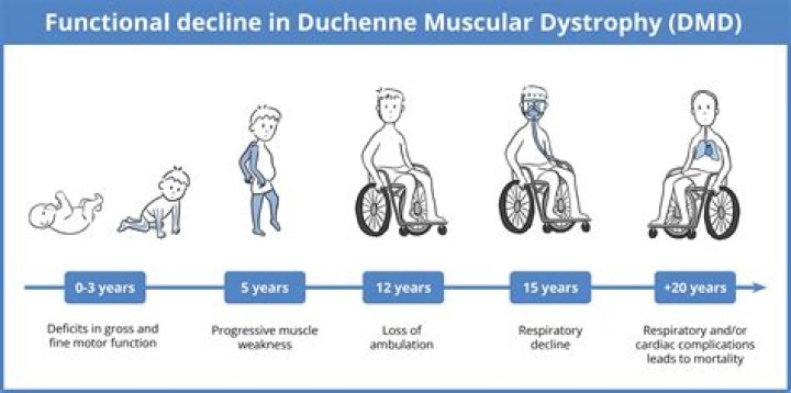 Why is pseudohypertrophic muscular dystrophy only in males?
