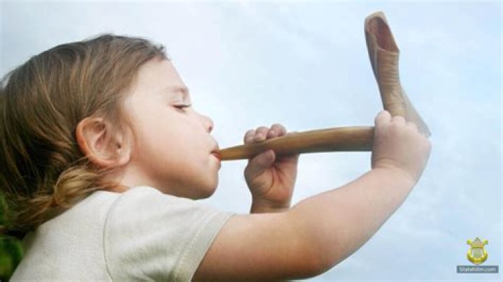 Why is the shofar sounded?