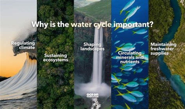 Why is the water cycle important?