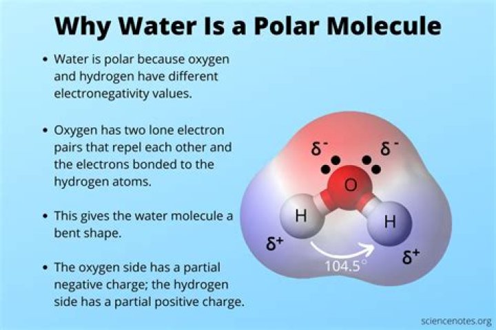 Why is water so polar?