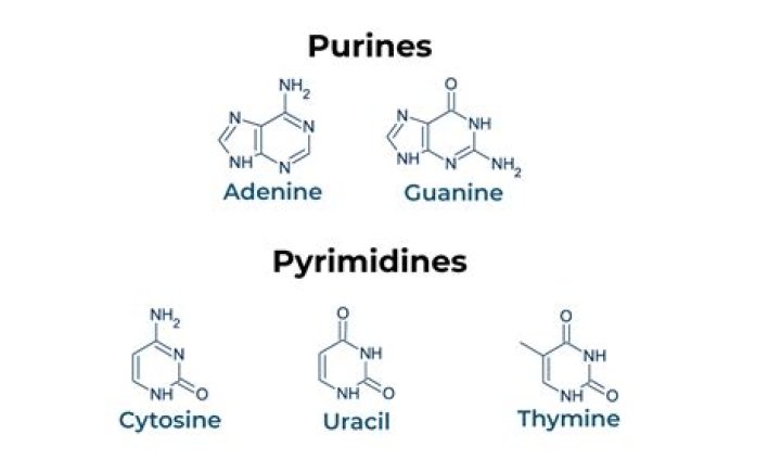 Why pyrimidine is aromatic?