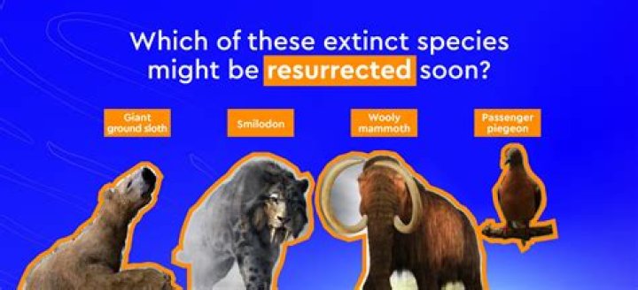 Why species go extinct?