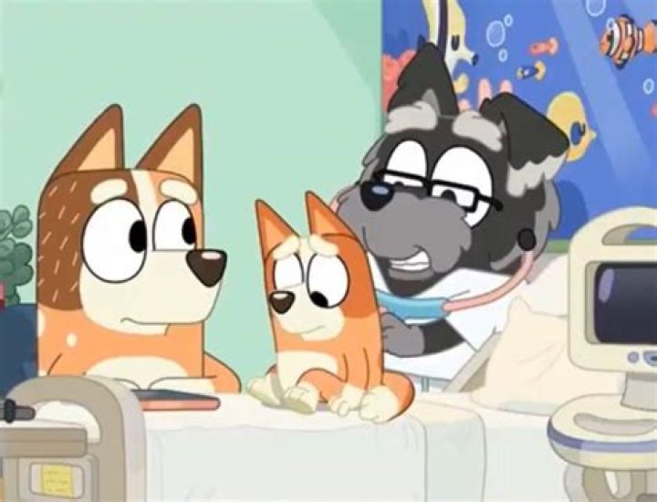 Why was dawko in the hospital?