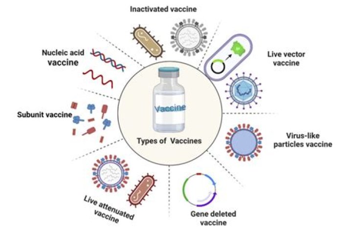 Will current vaccines protect against variants?
