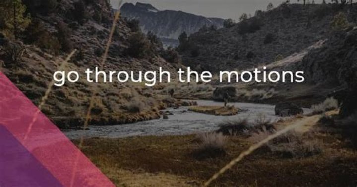 Will go through the motions meaning?