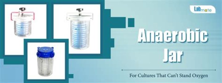 Will microaerophiles grow in an anaerobic jar?