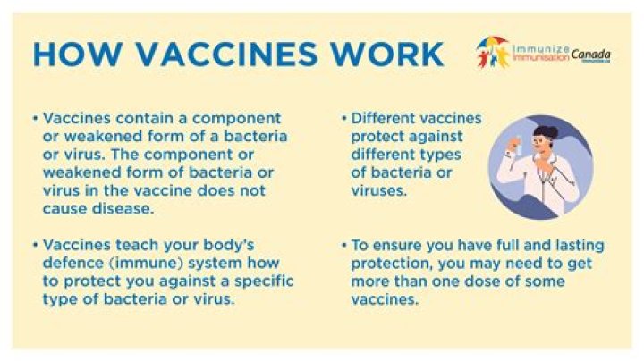 Will vaccines work against variants?