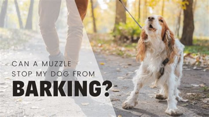 Would a muzzle stop a dog barking?