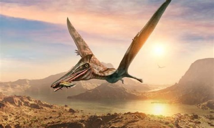 Would a pterodactyl eat a human?